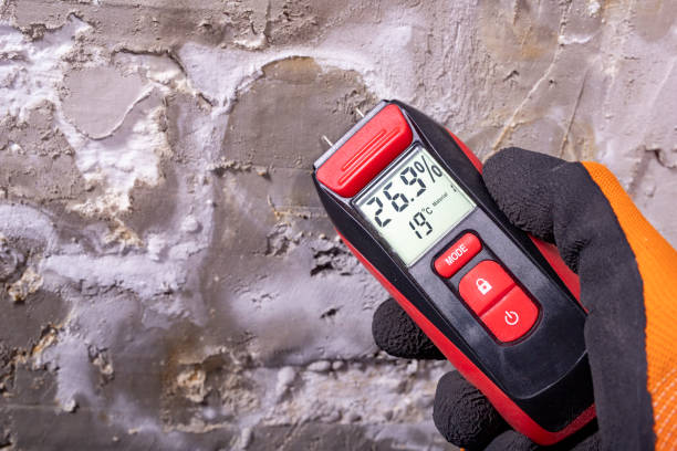 Best Localized Mold Remediation (e.g., coastal areas, humid climates) in Spring Valley, MN