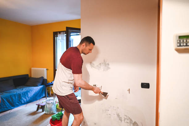Best Health and Safety Mold Remediation in Spring Valley, MN